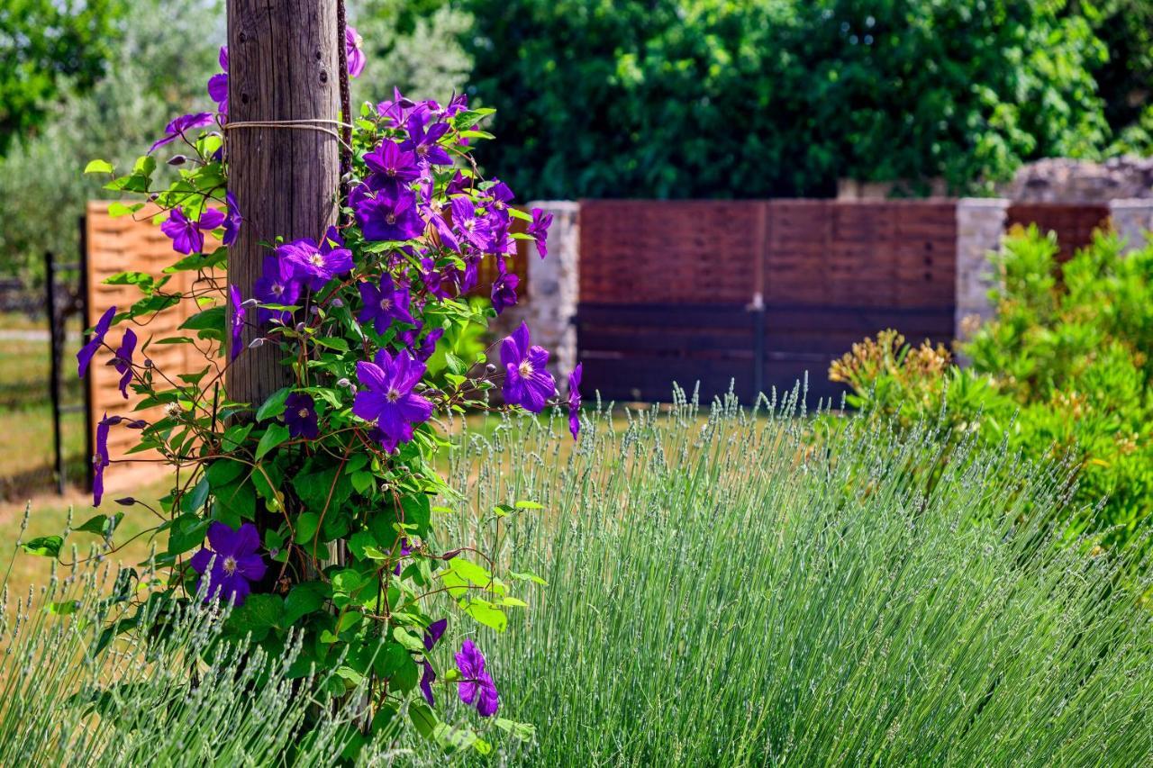 Villa Sunny House Smokovic Exterior foto