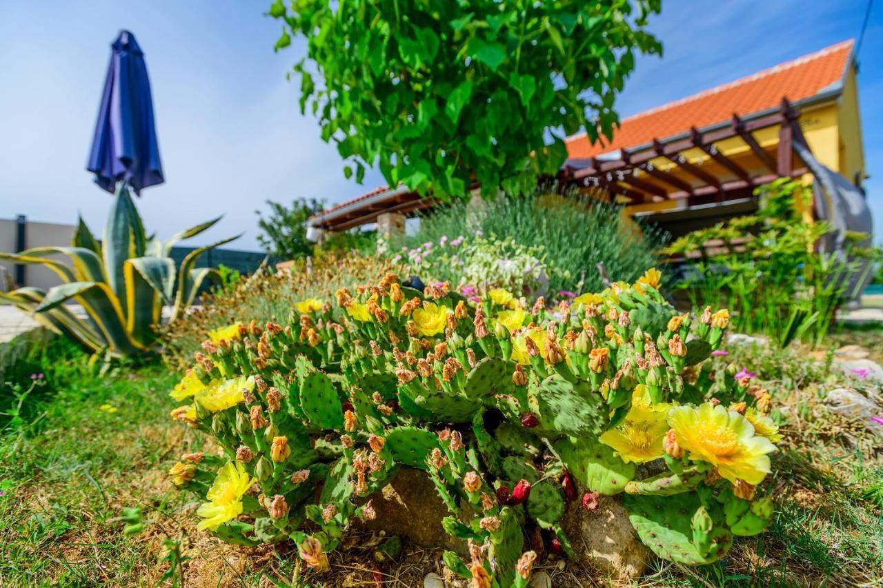 Villa Sunny House Smokovic Exterior foto